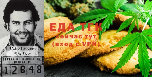индика Аркадак