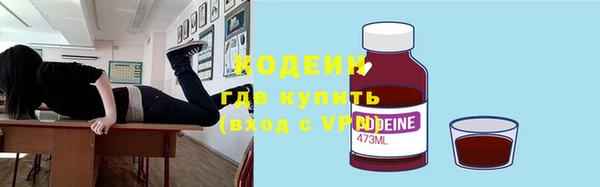 индика Аркадак