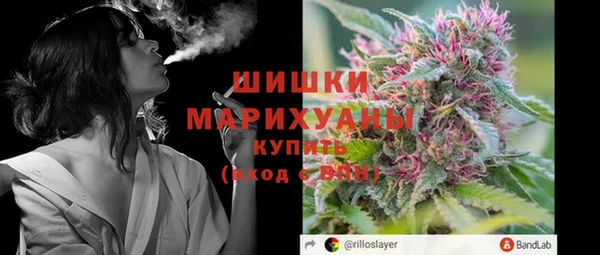 индика Аркадак