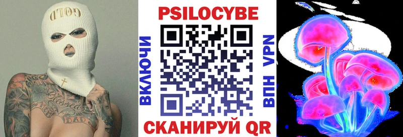 Галлюциногенные грибы Psilocybe  купить наркотики сайты  Борисоглебск 